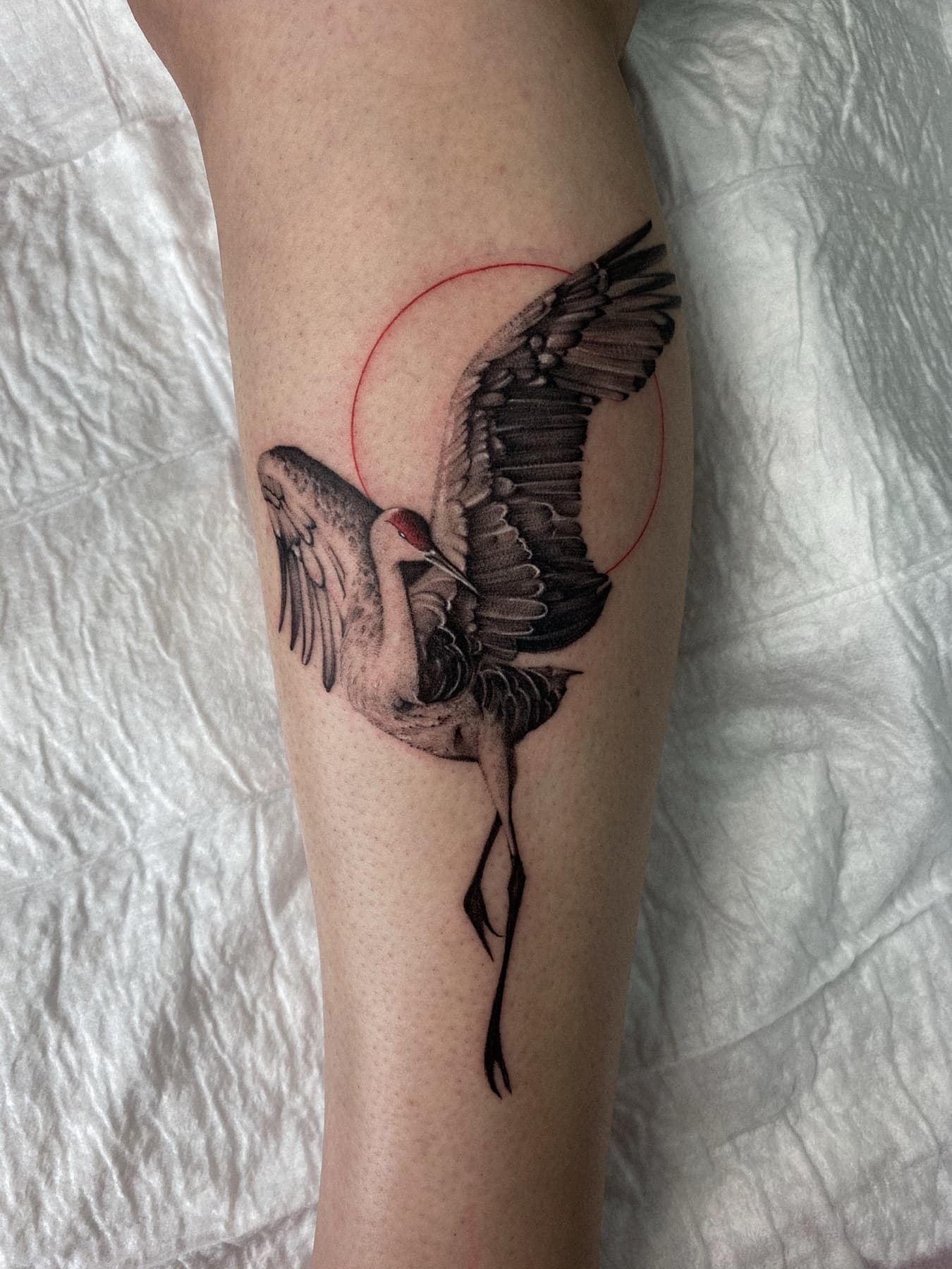Fine-Line-Kranich-Tattoo mit roter Sonne am Bein