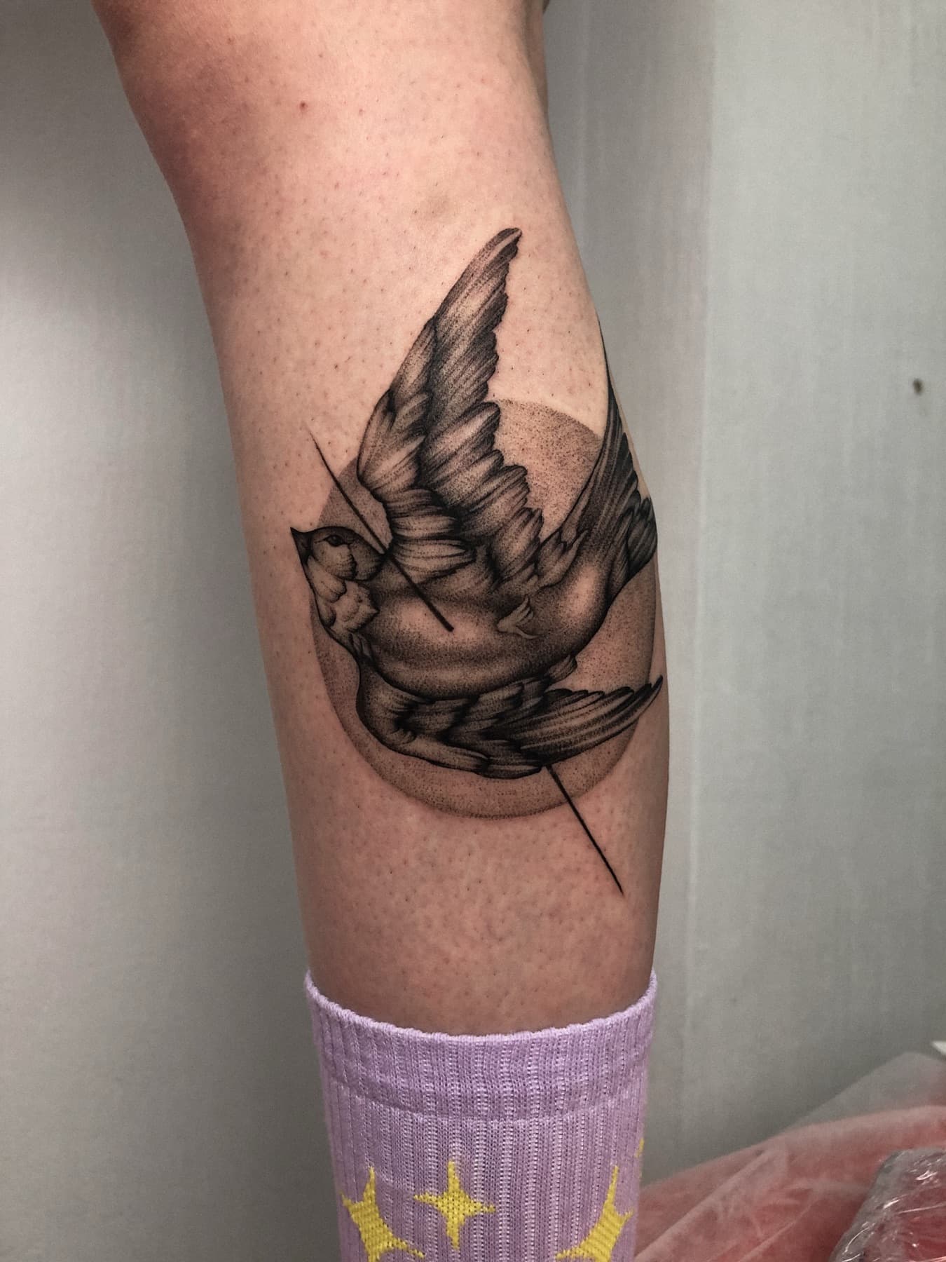 Fine-Line-Spatz-Tattoo mit Dotwork-Sonne am Schienbein