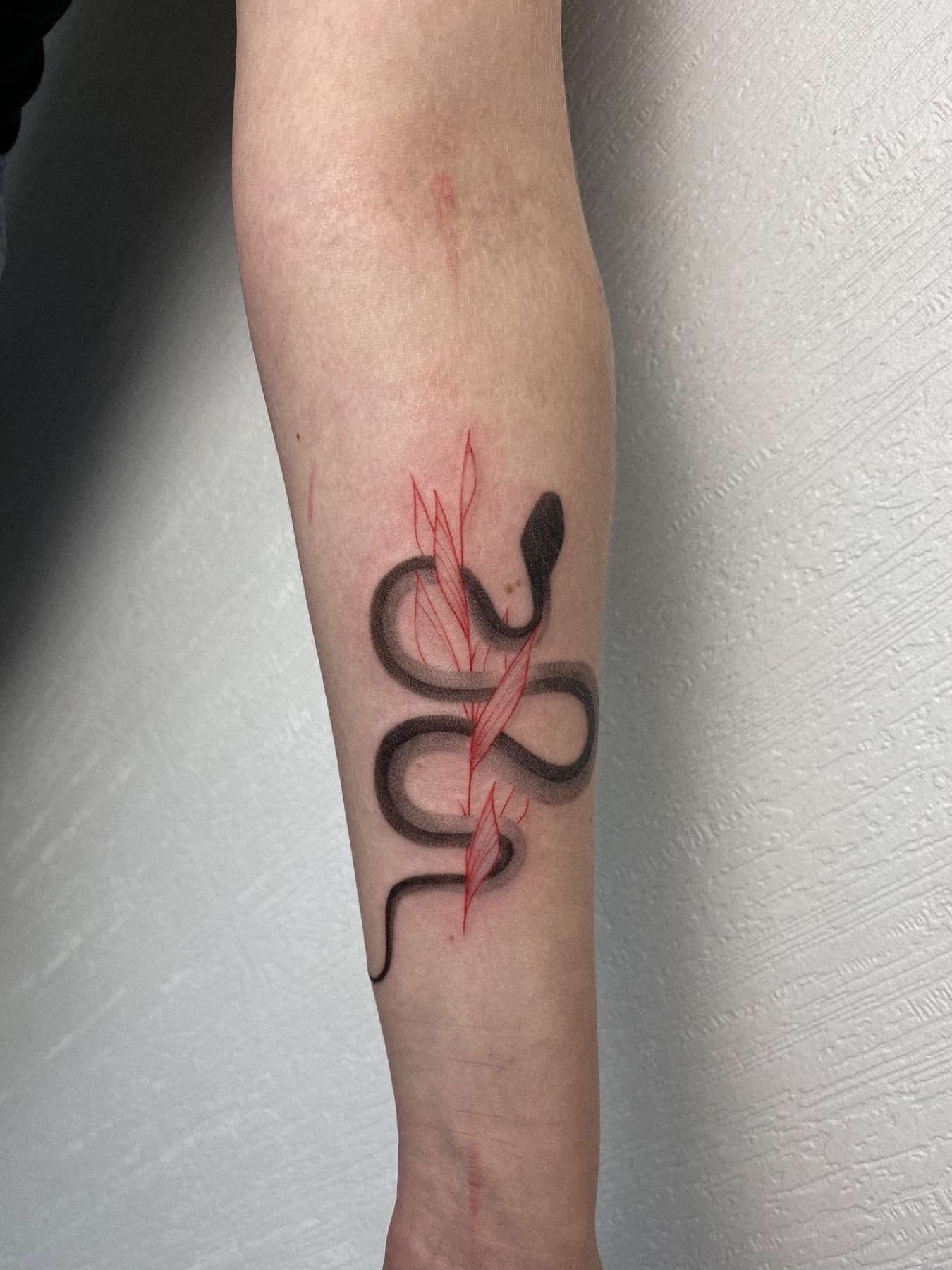 Fine-Line-Schlangen- und Pflanzen-Tattoo am Unterarm