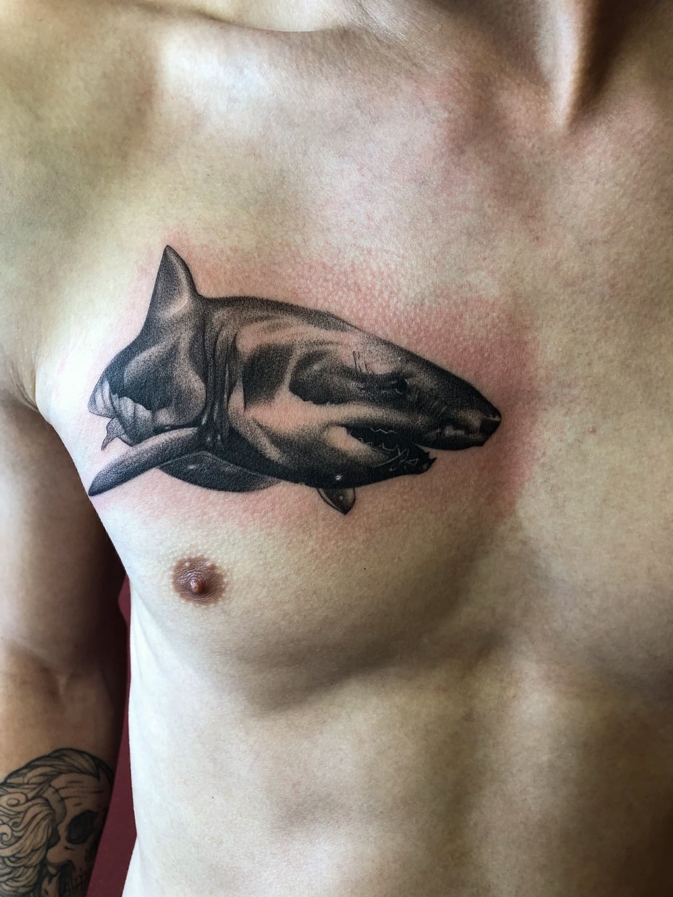 Illustratives Hai-Tattoo auf der Brust