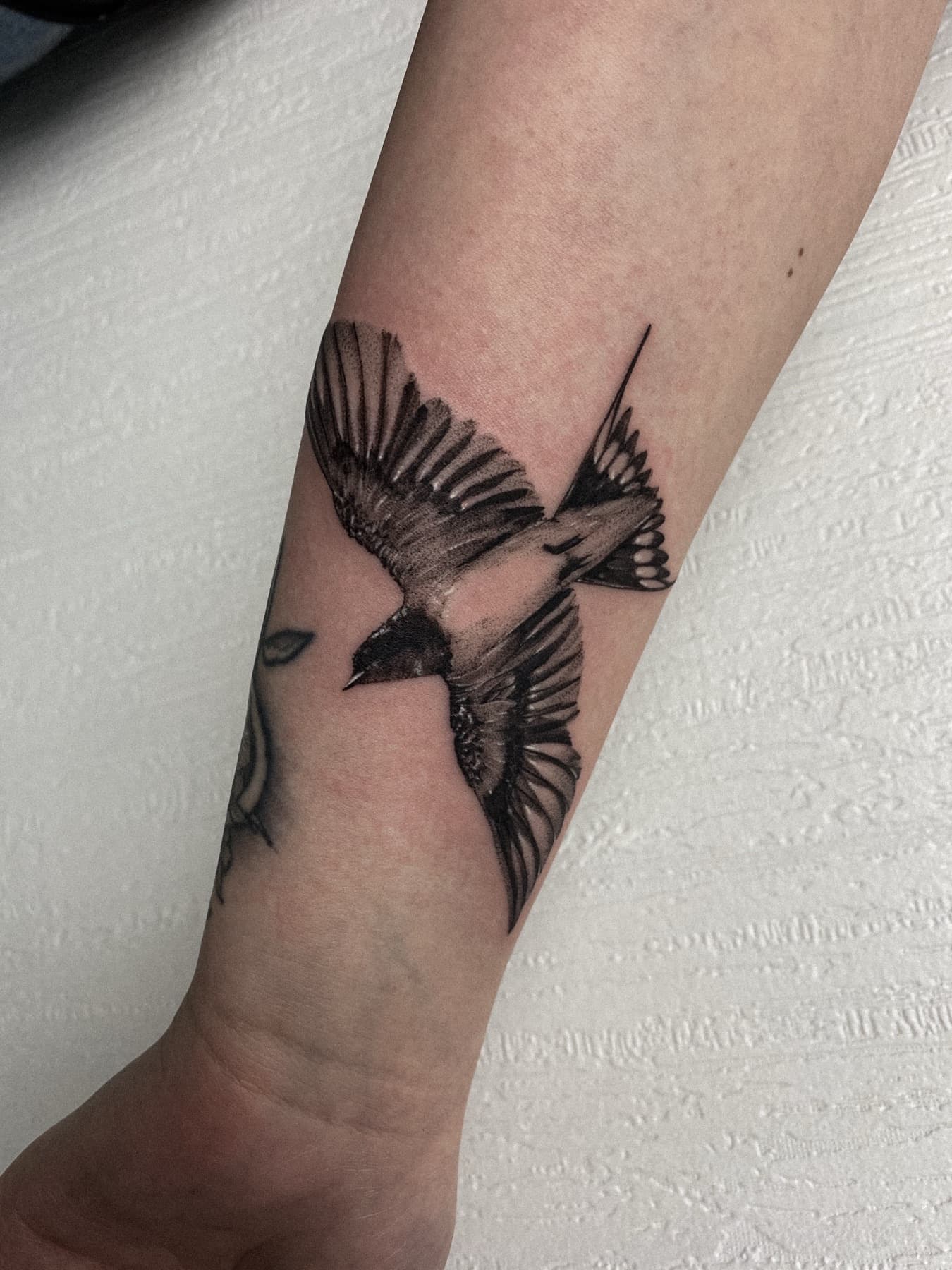 Fine-Line-Schwalben-Tattoo am Unterarm