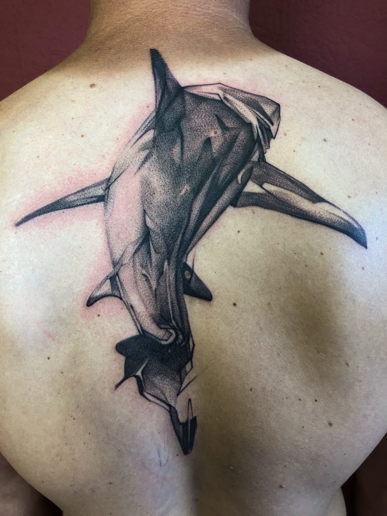 Illustratives Hammerhai-Tattoo auf dem Rücken