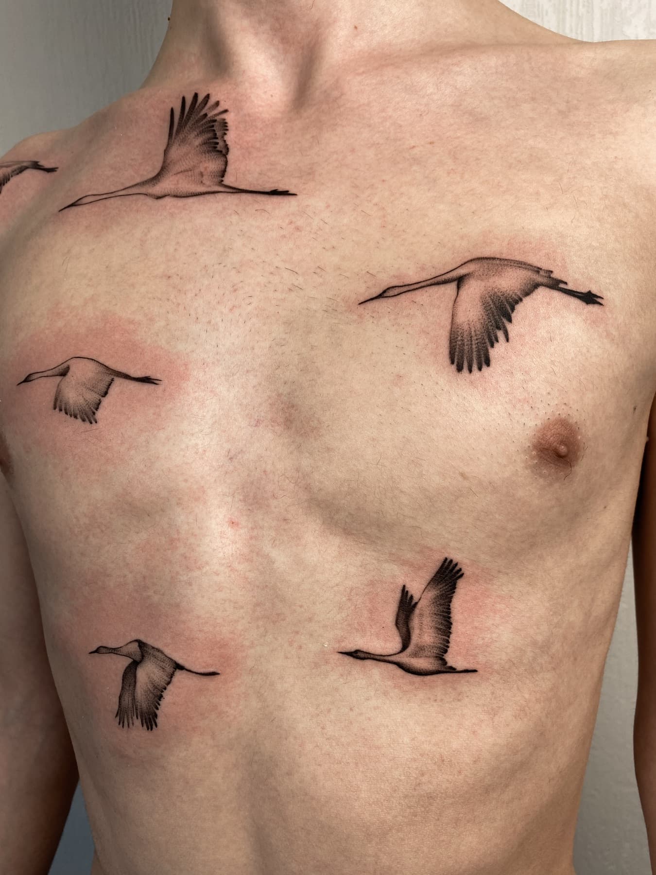 Fine-Line-Tattoo fliegender Vögel auf der Brust
