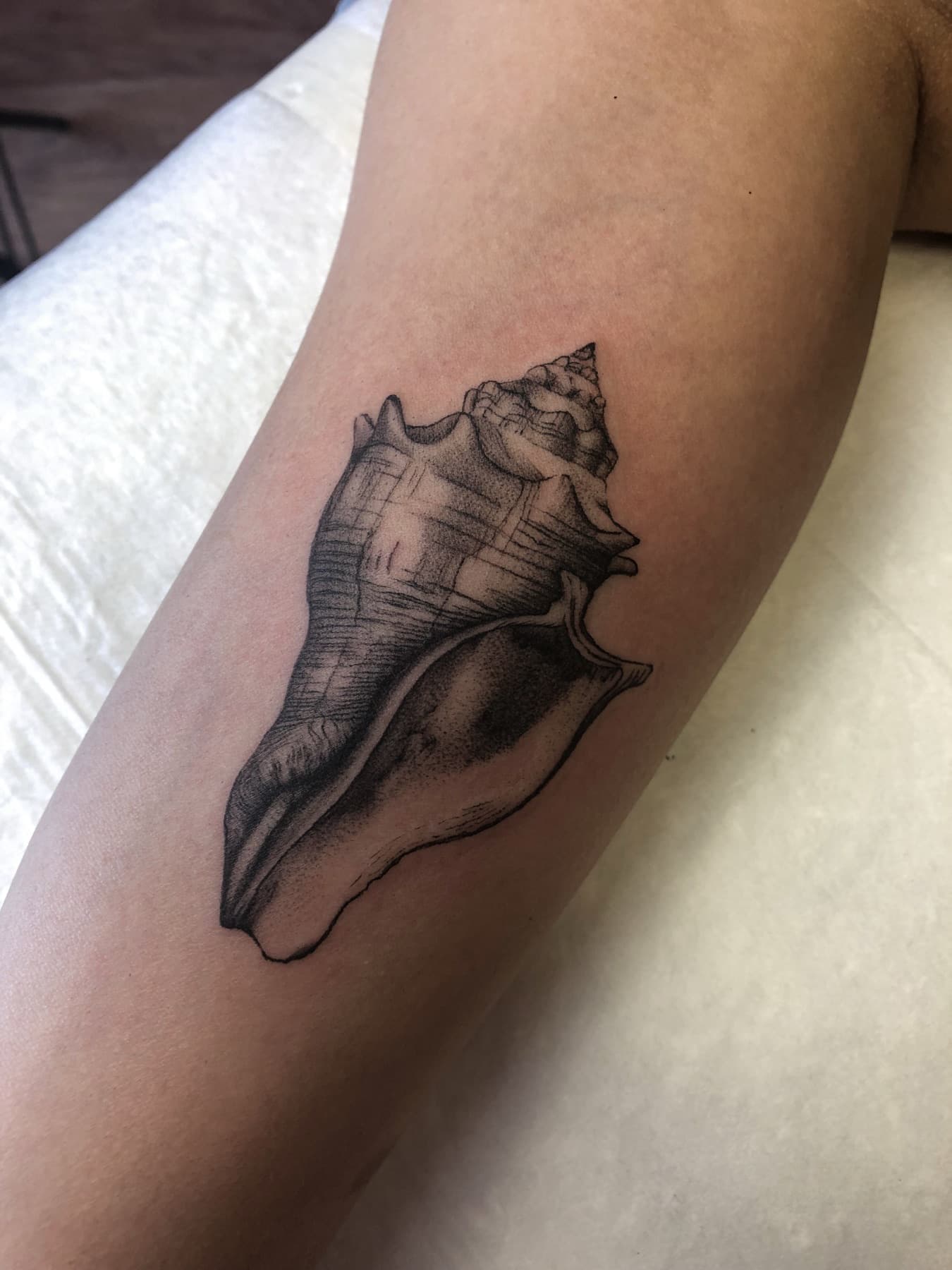 Fine-Line-Muschel-Tattoo am Innenarm