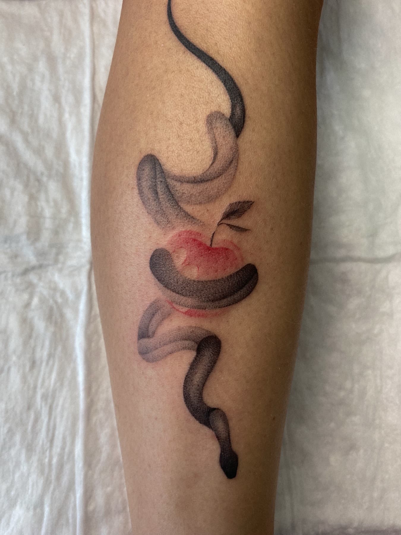 Illustratives Tattoo einer Schlange mit rotem Apfel
