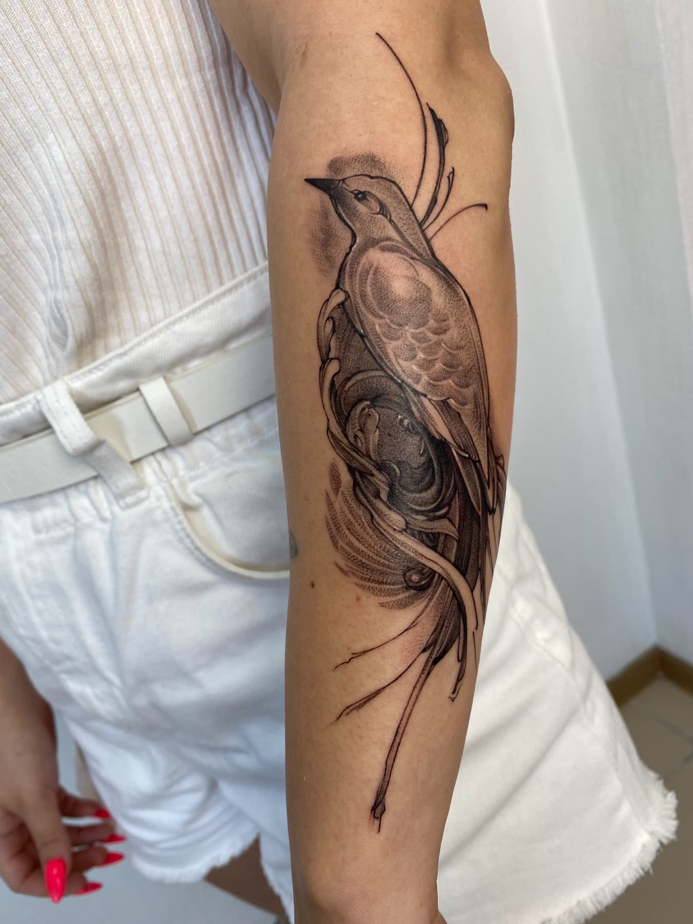 Illustratives Vogel-Tattoo mit fließenden Schwanzfedern