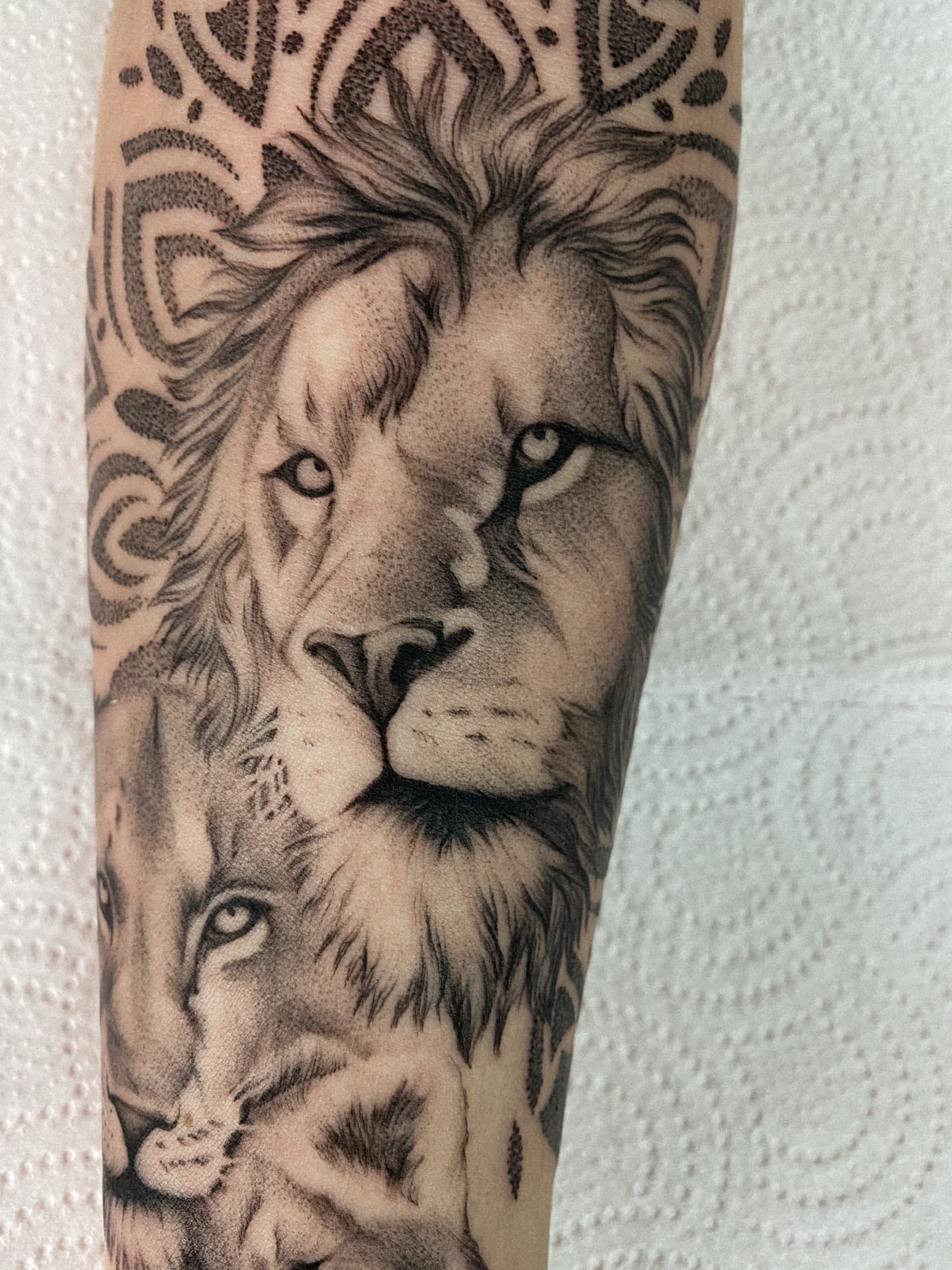 Micro-Realism-Löwen-Porträt-Tattoo, Detailaufnahme
