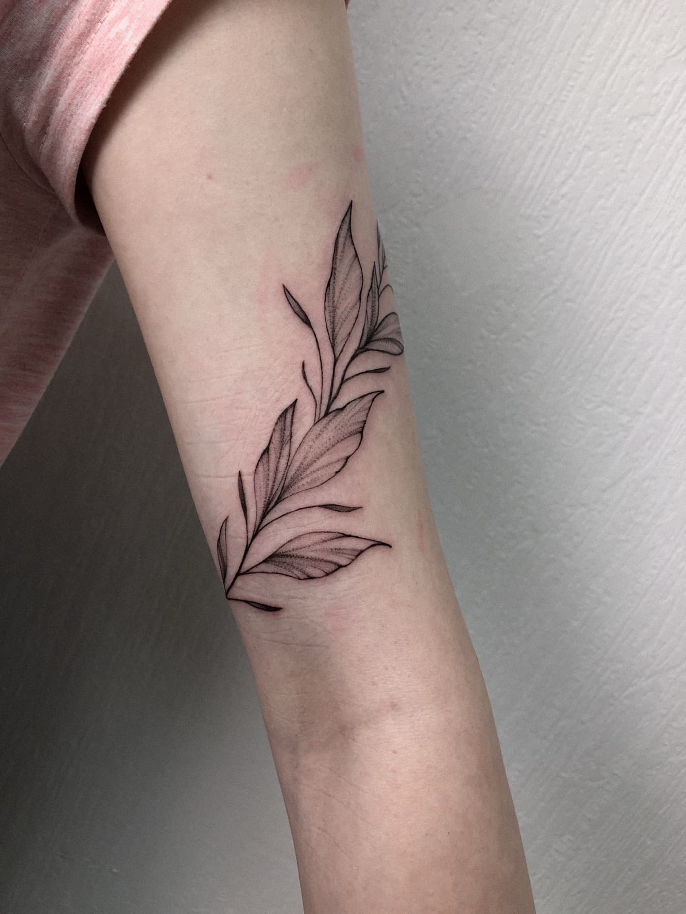 Fine-Line-Blattzweig-Tattoo am Unterarm
