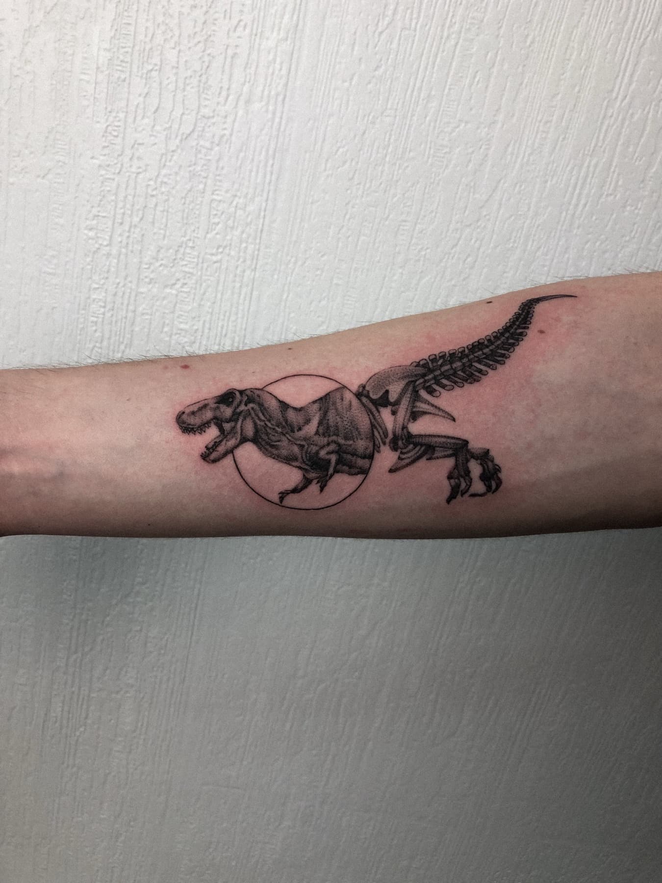 Illustratives Dinosaurier-Tattoo am Unterarm
